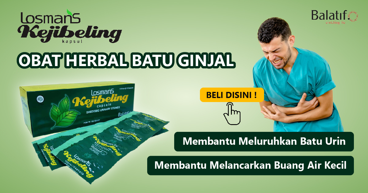 Obat Herbal Batu Ginjal Dan Kencing Batu Losmans Kejibeling - PT ...