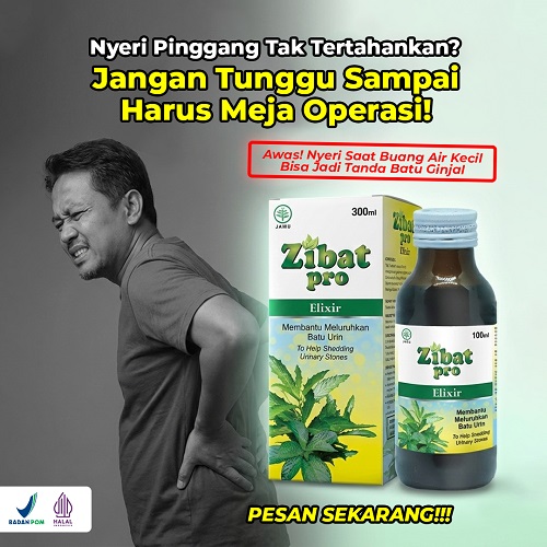 Zibat Pro Elixir